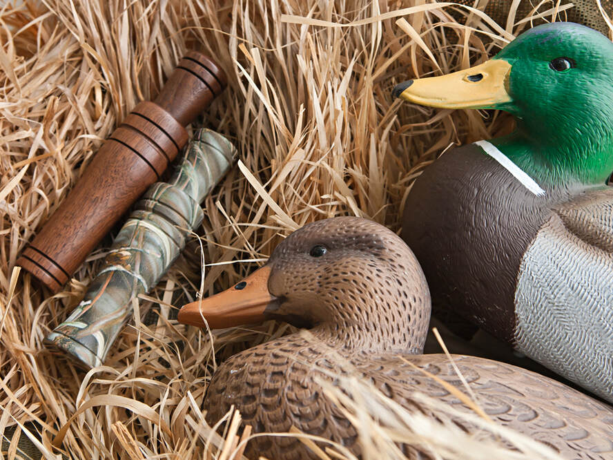 Duck calls